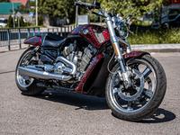 Harley-Davidson  V-Rod Muscle 2014 годаүшін11 000 000 тг. в Алматы