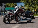 Harley-Davidson  V-Rod Muscle 2014 года за 11 000 000 тг. в Алматы – фото 2