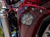 Harley-Davidson  V-Rod Muscle 2014 года за 11 000 000 тг. в Алматы – фото 5