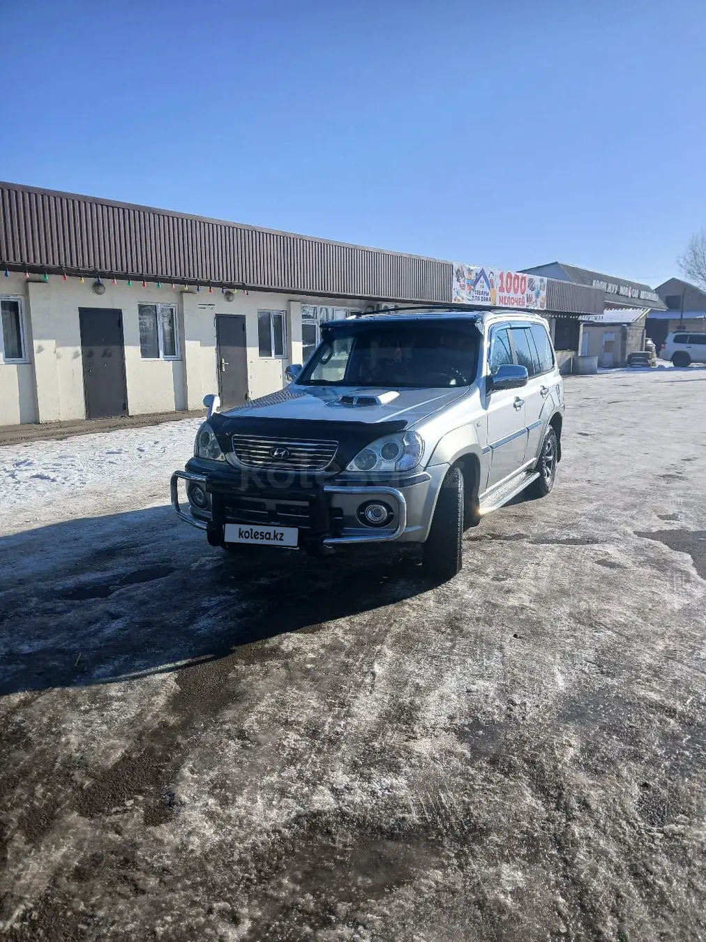 Hyundai Terracan, 2001