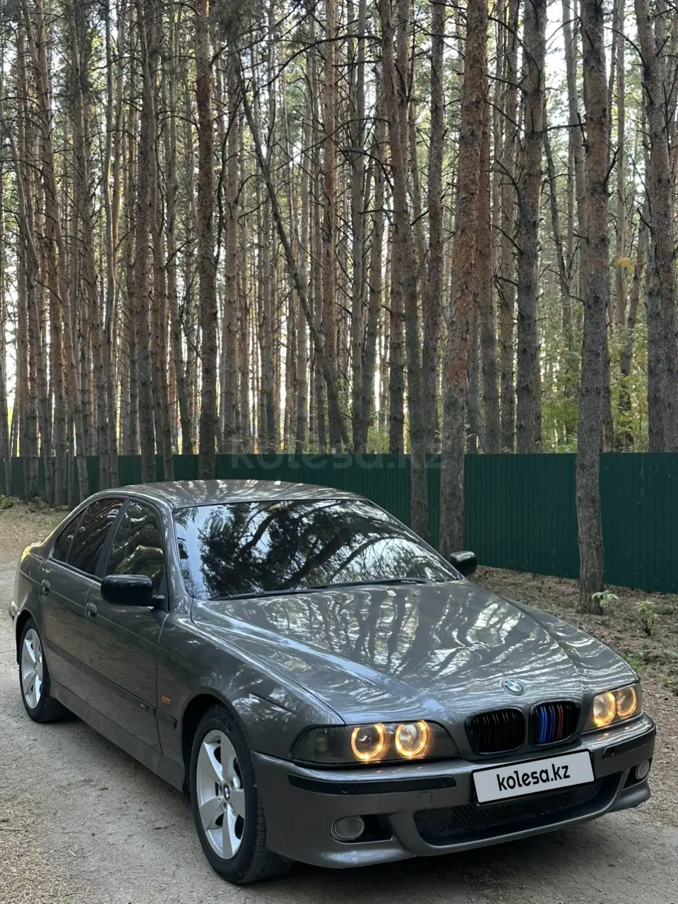BMW 5 Series, 2001