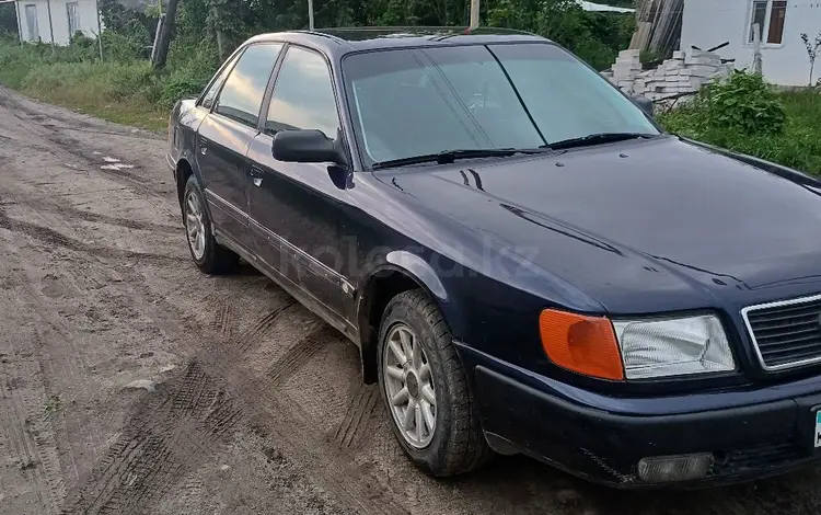 Audi 100 1991 года за 2 200 000 тг. в Талдыкорган