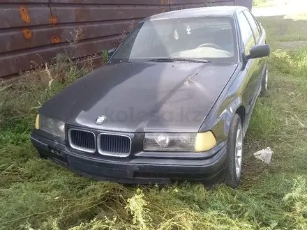 BMW 318 1994 года за 500 000 тг. в Петропавловск