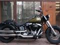 Harley-Davidson  FLS 1690 SLIM 2016 года за 6 290 000 тг. в Шымкент – фото 3