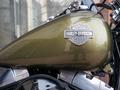 Harley-Davidson  FLS 1690 SLIM 2016 года за 6 290 000 тг. в Шымкент – фото 22