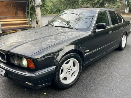 BMW 525 1994 года за 2 300 000 тг. в Шымкент – фото 4