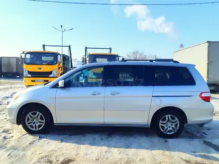 Honda Odyssey 2007 года за 6 650 000 тг. в Алматы – фото 8