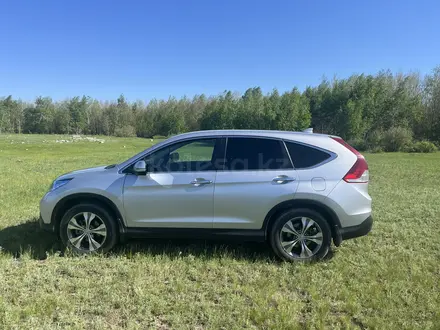 Honda CR-V 2014 годаүшін12 000 000 тг. в Астана – фото 3