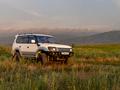 Toyota Land Cruiser Prado 2001 годаfor9 000 000 тг. в Алматы – фото 45