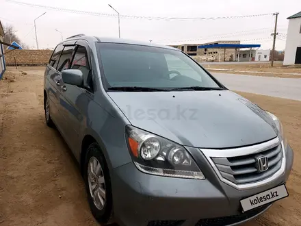 Honda Odyssey 2010 года за 8 000 000 тг. в Бейнеу