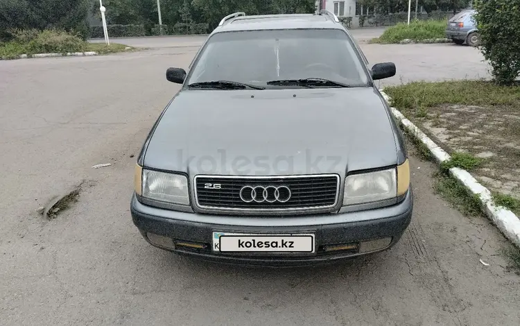 Audi 100 1992 годаfor2 500 000 тг. в Петропавловск