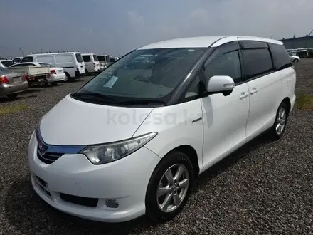 Toyota Estima 2009 года за 600 000 тг. в Павлодар