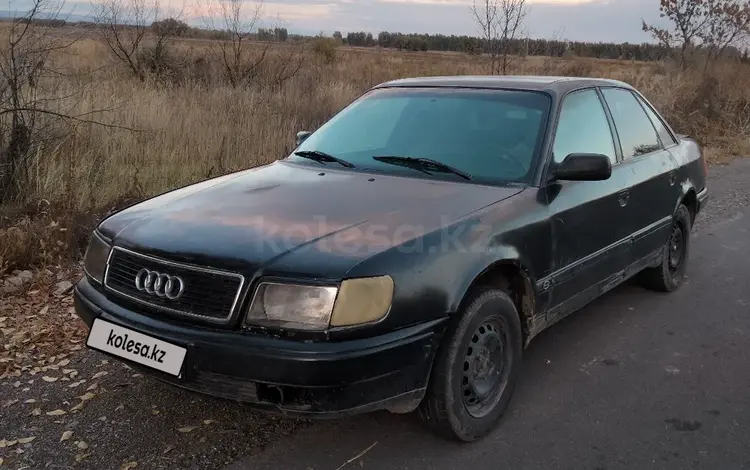 Audi 100 1993 года за 1 200 000 тг. в Талдыкорган