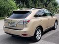 Lexus RX 350 2011 года за 12 350 000 тг. в Алматы – фото 13
