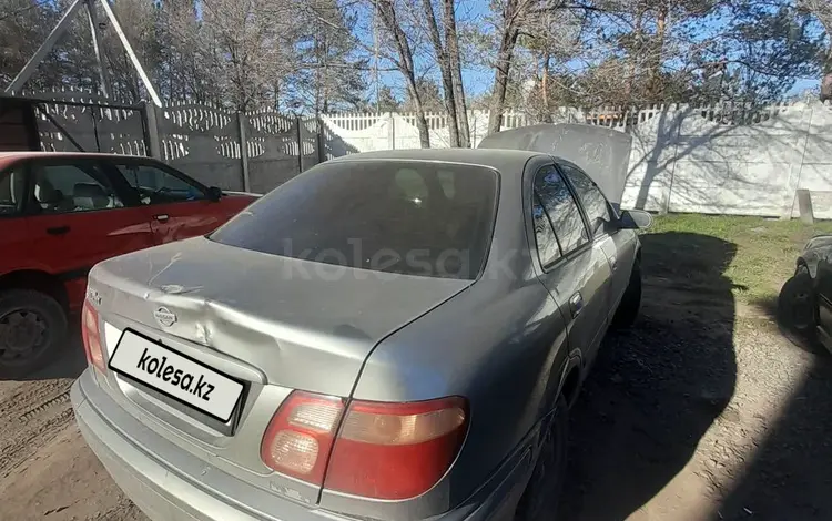 Nissan Bluebird 2001 года за 800 000 тг. в Павлодар