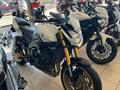 Yamaha  FZ 800 2012 годаүшін3 100 000 тг. в Петропавловск