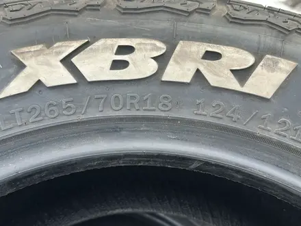 265/70R18 XBRI Brutus T/A. за 200 000 тг. в Алматы – фото 6