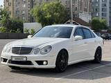 Mercedes-Benz E 55 AMG 2004 годаүшін17 000 000 тг. в Алматы – фото 3