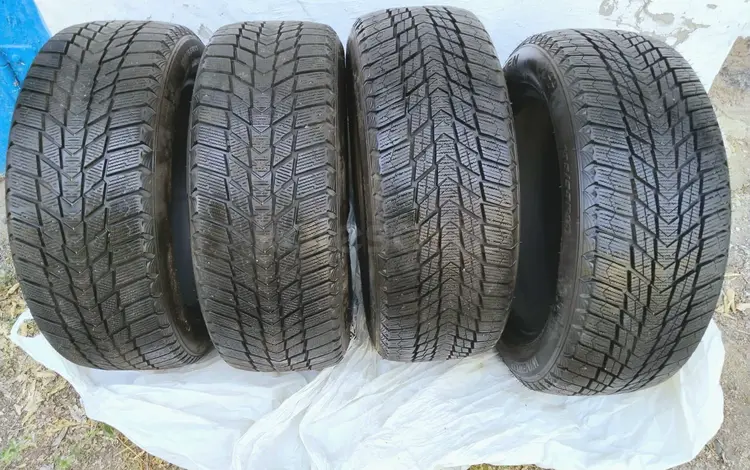 Зимняя резина Nexen Winguard Ice Plusүшін75 000 тг. в Караганда