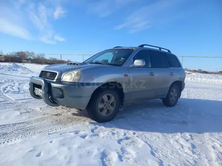 Hyundai Santa Fe 2002 года за 2 600 000 тг. в Денисовка – фото 4