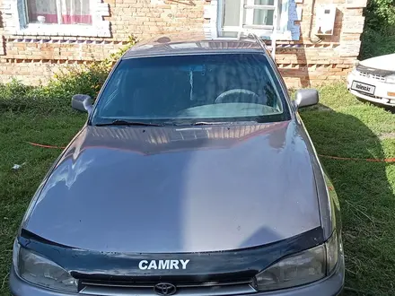 Toyota Camry 1996 года за 2 500 000 тг. в Усть-Каменогорск