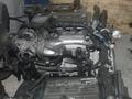 Двигатель Тойота Хайландер за 106 000 тг. в Шымкент – фото 3
