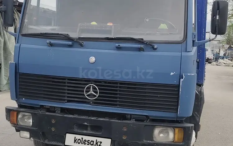 Mercedes-Benz  817 1993 года за 7 500 000 тг. в Алматы