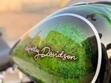 Harley-Davidson  Fat Boy 2010 годаfor7 500 000 тг. в Актау – фото 5