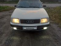 Audi 100 1992 годаүшін2 550 000 тг. в Петропавловск