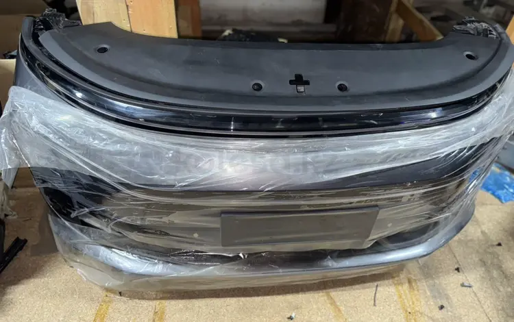 Ноускаты за 1 000 тг. в Астана