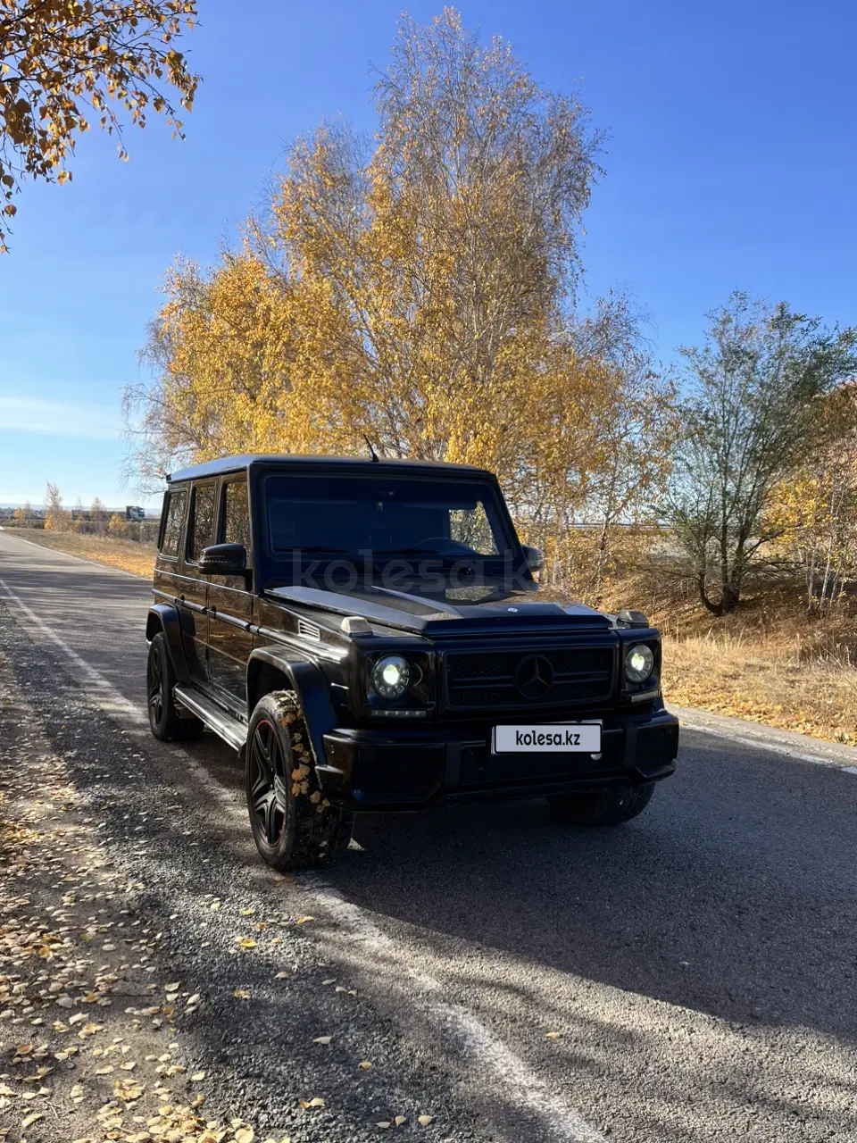 Mercedes-Benz G-Class, 2003