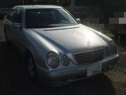 Автозапчасти Mercedes-Benz в Алматы – фото 61