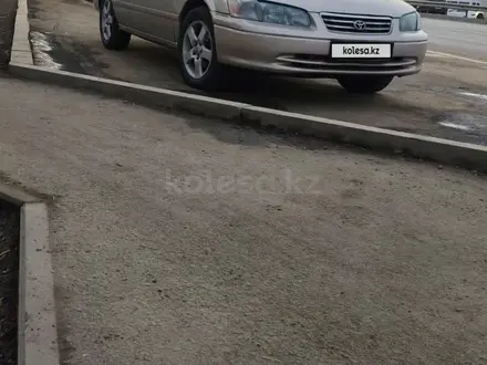 Toyota Camry 2000 года за 3 200 000 тг. в Шымкент