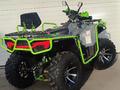 Honda  TRX 300 2026 года за 350 000 тг. в Алматы – фото 11