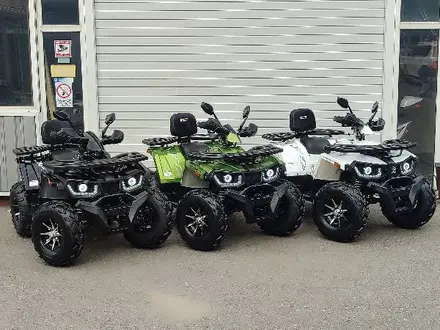 Honda  TRX 300 2026 года за 350 000 тг. в Алматы – фото 25