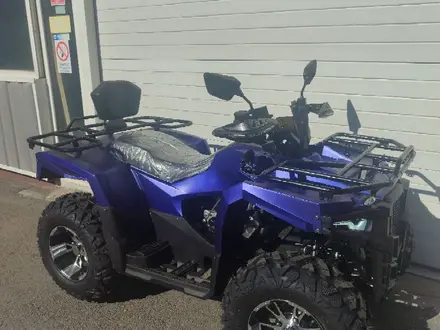 Honda  TRX 300 2026 года за 350 000 тг. в Алматы – фото 41