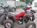 Honda  TRX 300 2026 года за 350 000 тг. в Алматы – фото 48