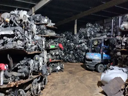 Үлкен бөкселері бар порно видеолар