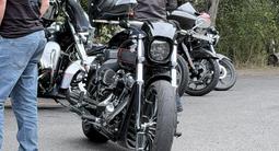 Harley-Davidson  Breakout 2024 года за 18 000 000 тг. в Алматы