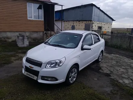 Chevrolet Nexia 2023 года за 5 970 000 тг. в Кокшетау – фото 3