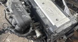 Контрактный двигатель G4ED 1.6 лит Hyundai Accent Avante Verna Getz за 320 000 тг. в Алматы – фото 3