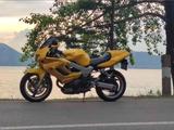 Honda  VTR 1000 2000 года за 1 500 000 тг. в Алматы – фото 2