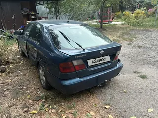 Nissan Primera