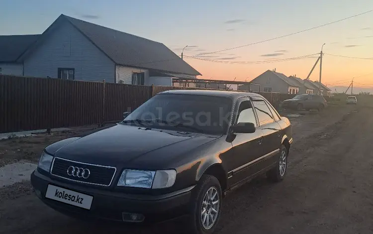 Audi 100 1992 годаүшін1 925 000 тг. в Петропавловск