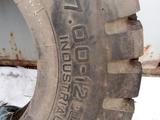 Шина Pirelli 7/00/12үшін45 000 тг. в Усть-Каменогорск – фото 3