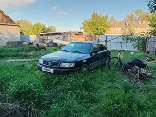 Audi 100, 1992