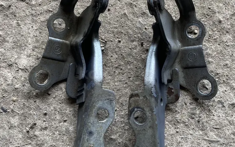 Петли шарниры капота дверей Карола 120 за 20 000 тг. в Алматы