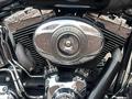 Harley-Davidson  Softail Custom 2008 года за 6 500 000 тг. в Астана – фото 5