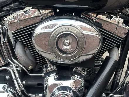 Harley-Davidson  Softail Custom 2008 года за 6 500 000 тг. в Астана – фото 5