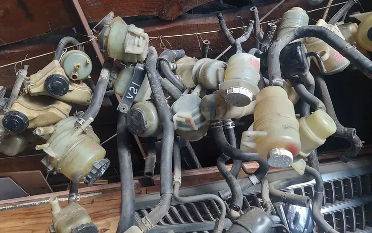 Бочек гураүшін10 000 тг. в Алматы